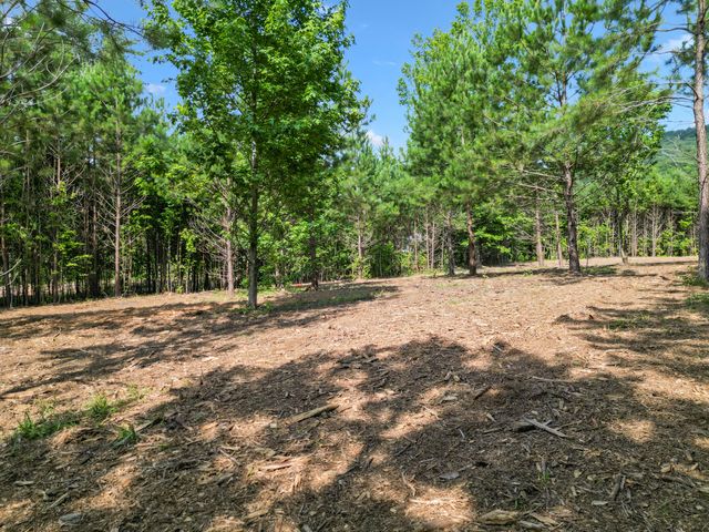 5289 Mcdonald Road, Mcdonald, TN 37353