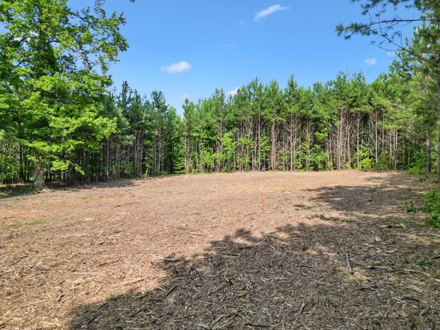 5289 Mcdonald Road, Mcdonald, TN 37353