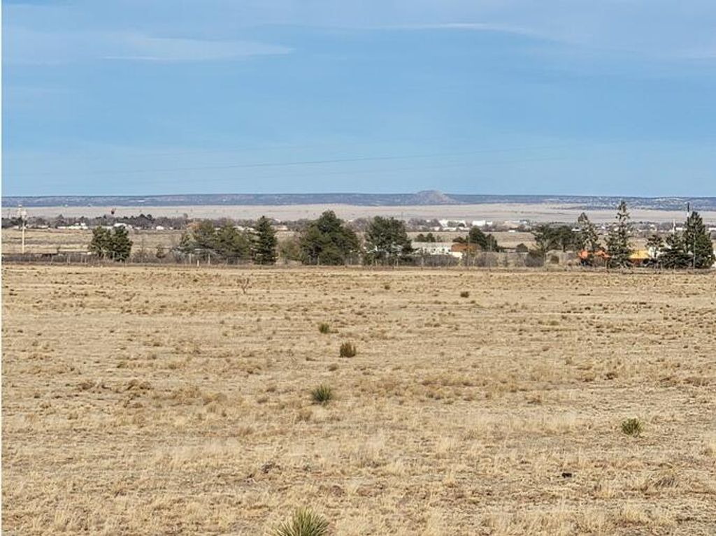 Image 1 of property listing at 205 McNabb Road, Moriarty, NM 87035