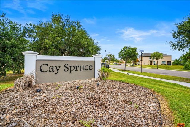 11240 CAY SPRUCE WAY, San Antonio, FL 33576