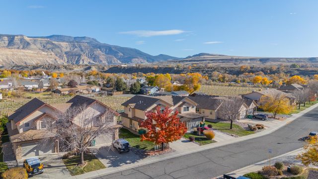 829 Montclair Drive, Palisade, CO 81526