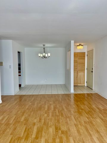 10037 S Walnut Terrace 312, Palos Hills, IL 60465