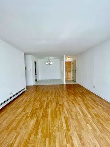 10037 S Walnut Terrace 312, Palos Hills, IL 60465