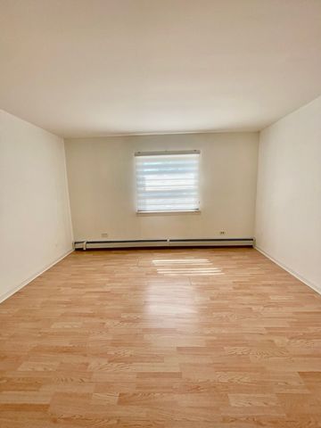 10037 S Walnut Terrace 312, Palos Hills, IL 60465