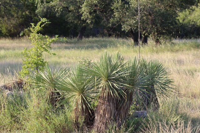 5135 Lookout Ridge DR, Marble Falls, TX 78654