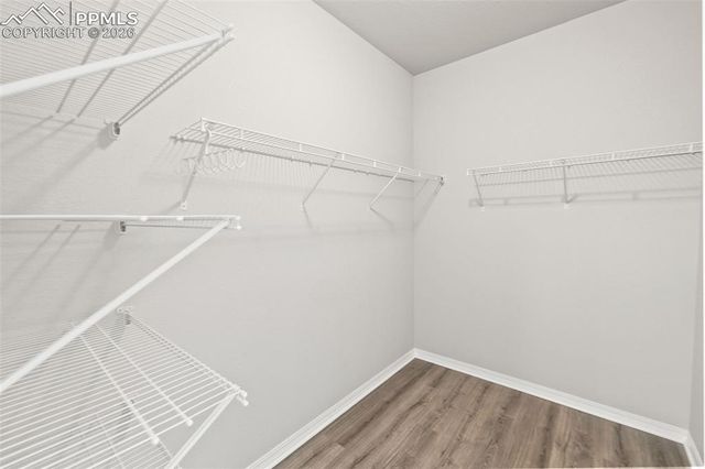 4175 Samaritan Loop, Colorado Springs, CO 80916