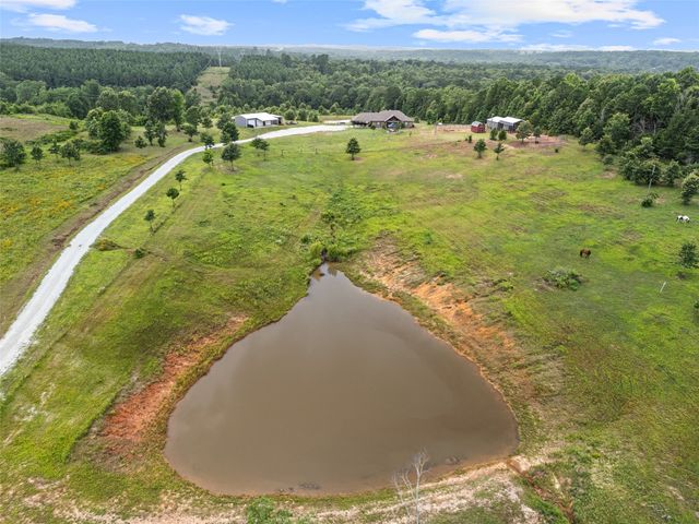 480 Clowers Road, Diana, TX 75640