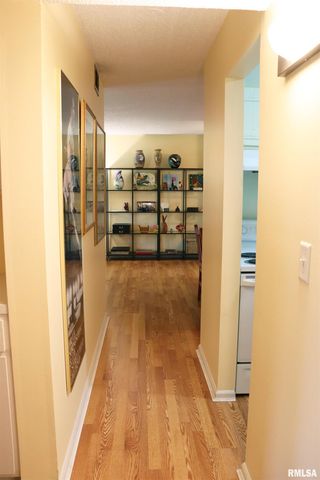 2601 W Willowlake Dr Apt 19, Peoria, IL 61614