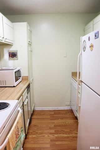 2601 W Willowlake Dr Apt 19, Peoria, IL 61614