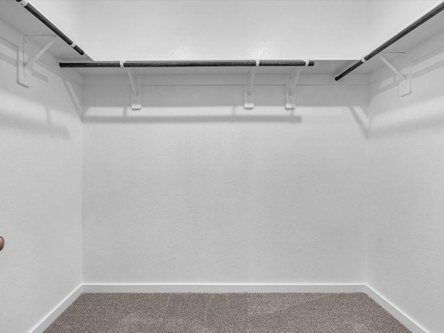 1749 Succotash Oak Court, Conroe, TX 77304