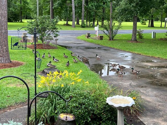 651 Smith Shore Road, Belhaven, NC 27810