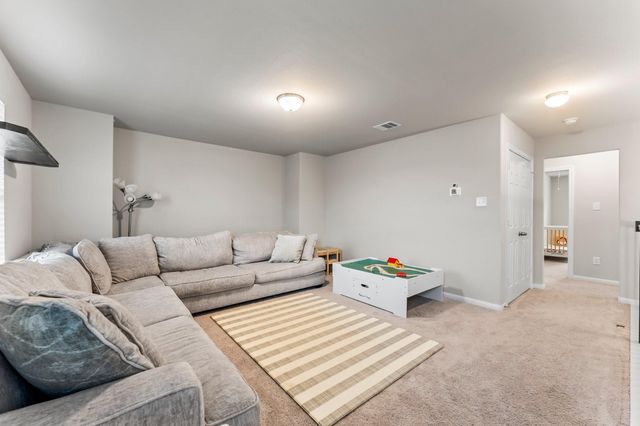 17010 Plover Rock Trail, Hockley, TX 77447