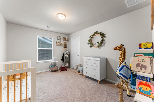 17010 Plover Rock Trail, Hockley, TX 77447