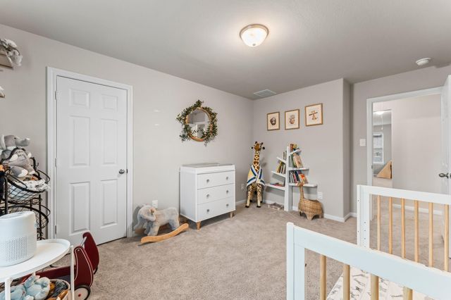 17010 Plover Rock Trail, Hockley, TX 77447