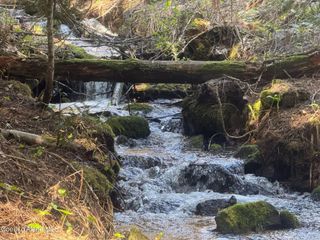 NNA Upper Manley Creek Rd West Lot, Laclede, ID 83841