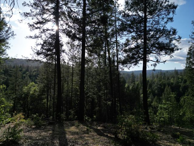 16594 You Bet, Grass Valley, CA 95945