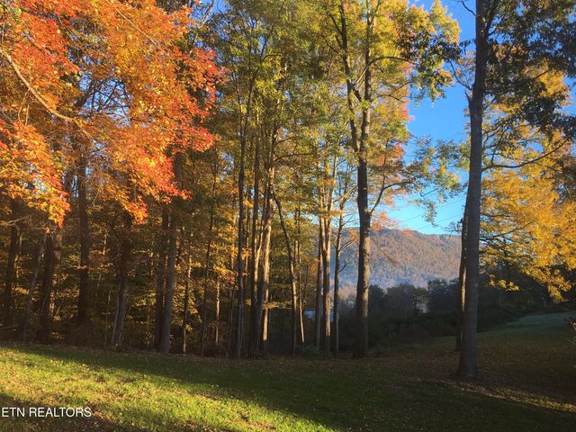 180 Donna Lane, Lafollette, TN 37766