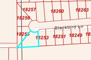 LOT 10 Blackbird Lane, Hempstead, TX 77445
