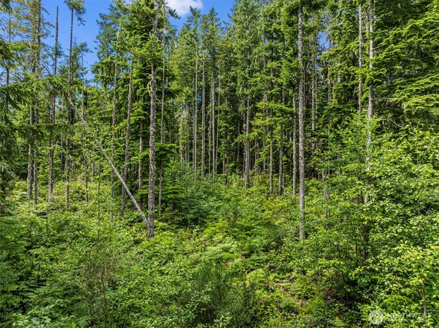 1 Andy Rogers Place NW, Seabeck, WA 98380