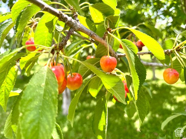 390 N 100 W, Fillmore, UT 84631