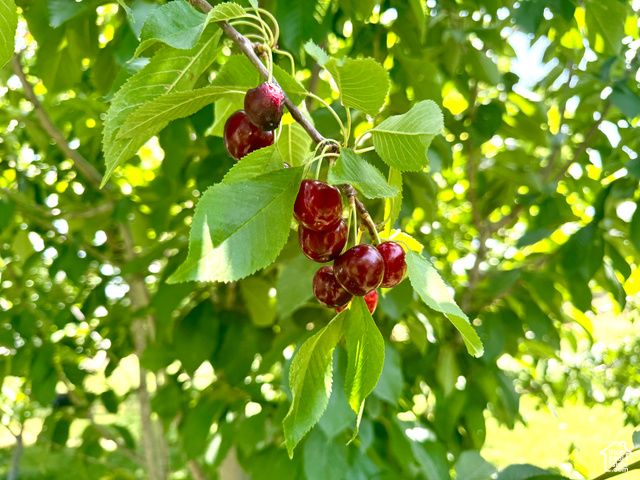 390 N 100 W, Fillmore, UT 84631