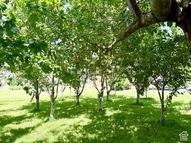 390 N 100 W, Fillmore, UT 84631