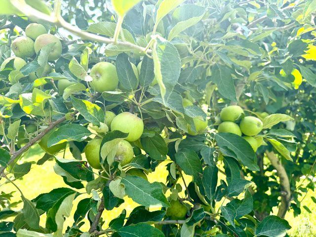 390 N 100 W, Fillmore, UT 84631