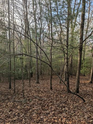 193 Opossum Road, Blairsville, GA 30512