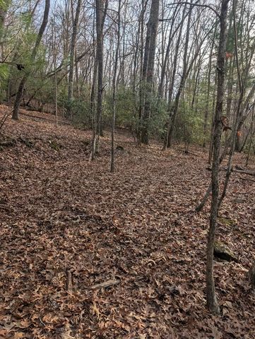 193 Opossum Road, Blairsville, GA 30512