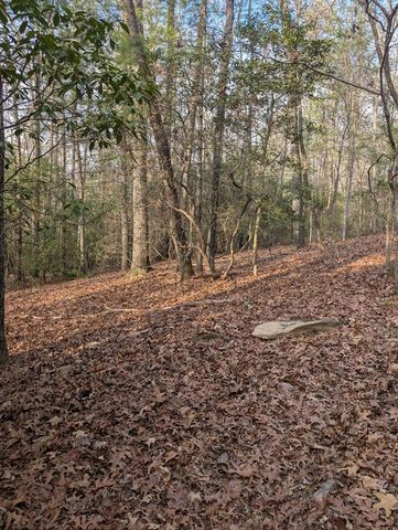 193 Opossum Road, Blairsville, GA 30512