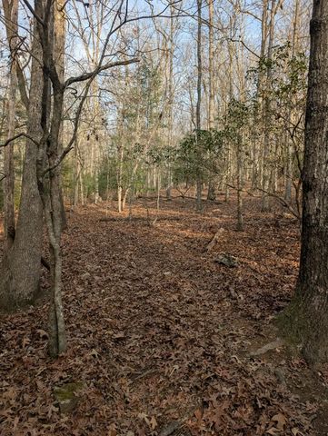 193 Opossum Road, Blairsville, GA 30512