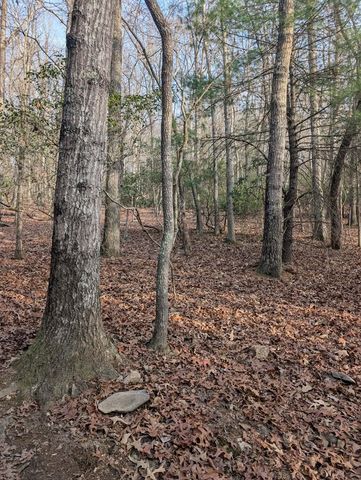 193 Opossum Road, Blairsville, GA 30512