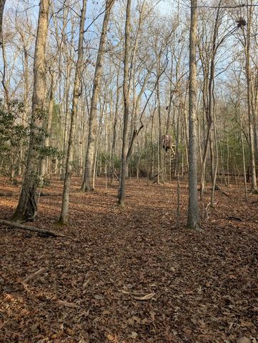 193 Opossum Road, Blairsville, GA 30512