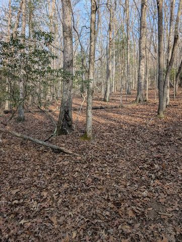 193 Opossum Road, Blairsville, GA 30512