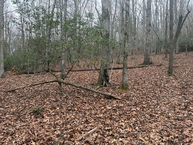 193 Opossum Road, Blairsville, GA 30512