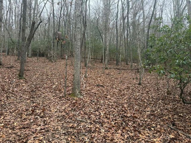 193 Opossum Road, Blairsville, GA 30512