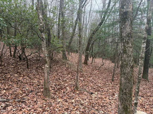 193 Opossum Road, Blairsville, GA 30512