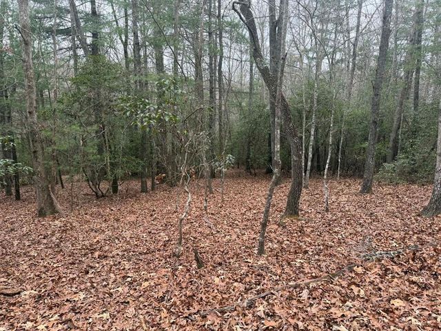 193 Opossum Road, Blairsville, GA 30512