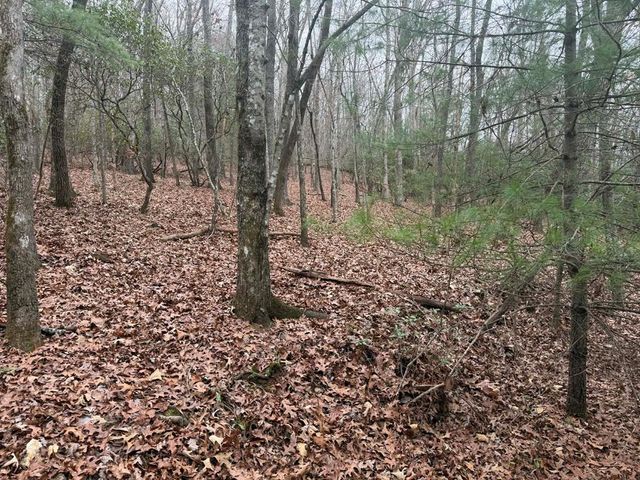 193 Opossum Road, Blairsville, GA 30512