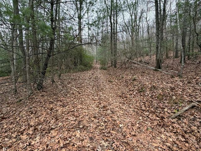 193 Opossum Road, Blairsville, GA 30512