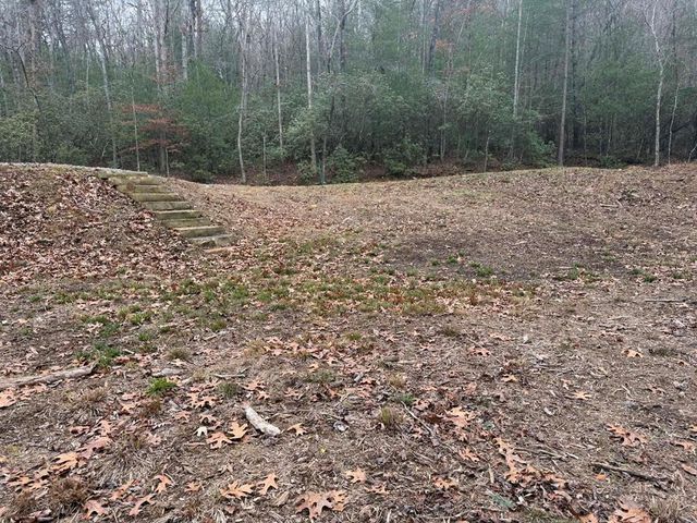 193 Opossum Road, Blairsville, GA 30512