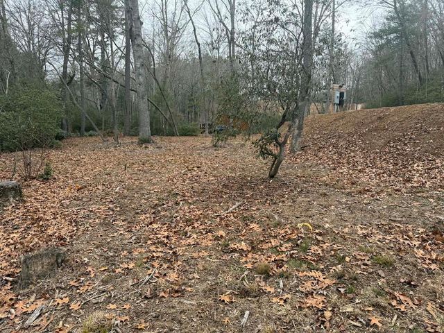 193 Opossum Road, Blairsville, GA 30512