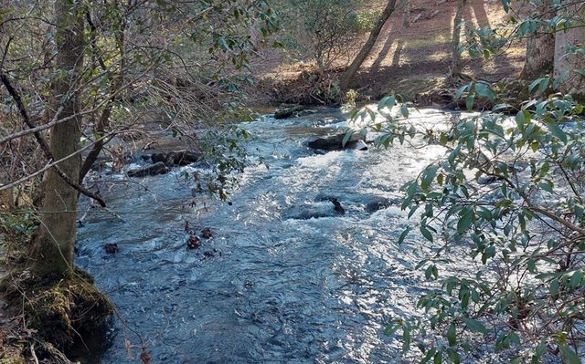 193 Opossum Road, Blairsville, GA 30512