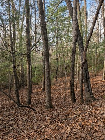 193 Opossum Road, Blairsville, GA 30512