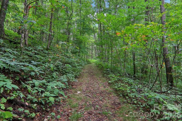 4501 Cove Creek Road, Waynesville, NC 28785