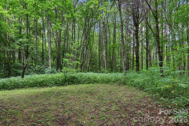 4501 Cove Creek Road, Waynesville, NC 28785