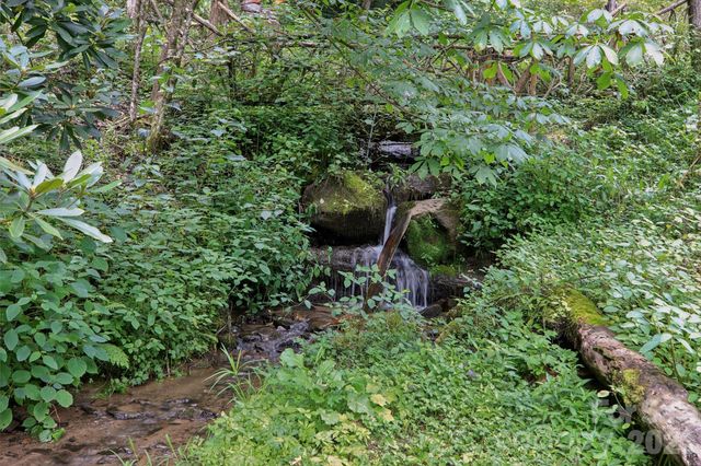 4501 Cove Creek Road, Waynesville, NC 28785
