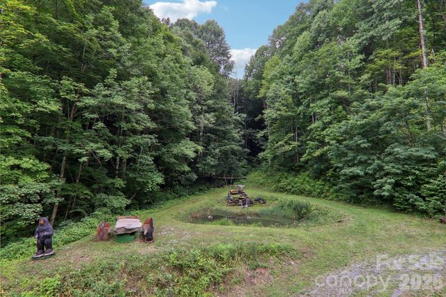 4501 Cove Creek Road, Waynesville, NC 28785
