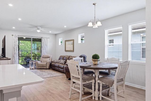20411 SYMPHONY PLACE, Venice, FL 34293