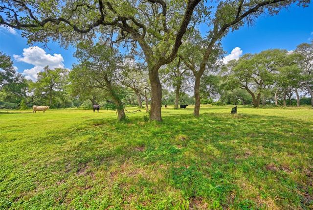 10100 Harmon School Road, Burton, TX 77835